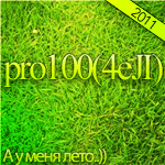 pro100(4eJI)